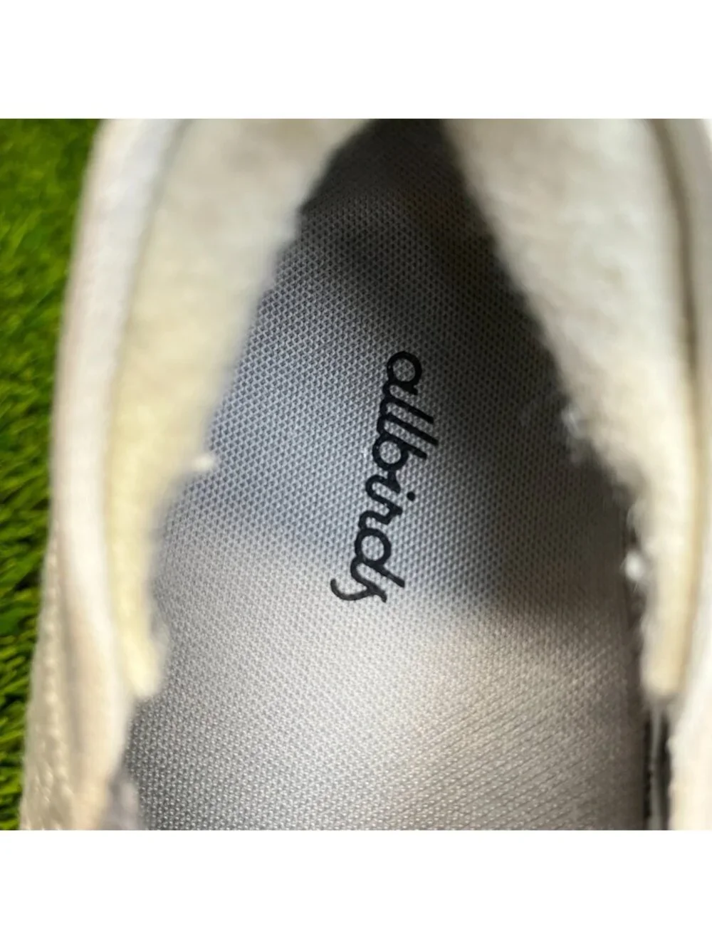 allbirds please review